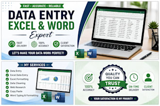 do professional data entry in excel and word