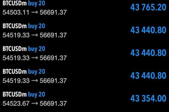 build forex trading bot, forex bot, trading bot, forex trading robot, forex