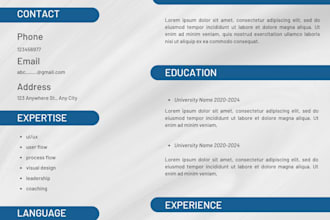 make a professional cv for your work