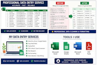 do excel data entry and copy paste work accurately