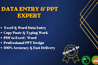 do professional data entry copy paste and excel data typing work