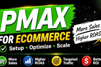 setup and optimize google ads pmax for ecommerce sales