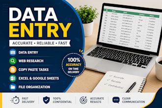 do accurate data entry, copy paste, and excel tasks