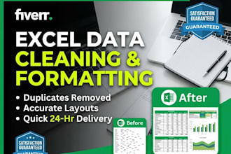 do expert excel data cleaning, formatting, data entry