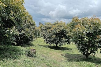 guide your farm transition from conventionnal to organic