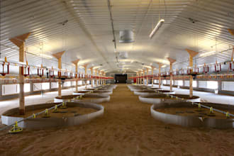 design 3d poultry farm, chicken house, hatchery, farm layout