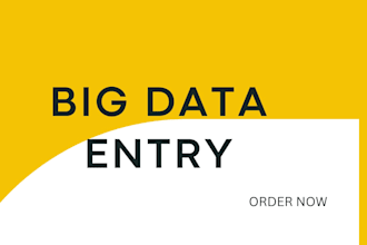do big data entry projects in 24 hours