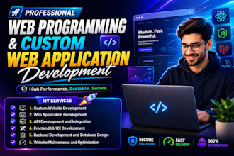 do professional web programming and custom web application development