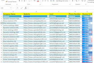 clean your excel contact database