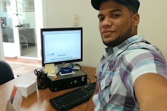 provide remote IT support and IT consulting services