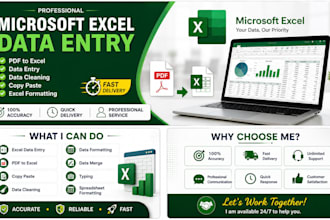 do microsoft excel data entry, PDF to excel, data cleaning and formatting