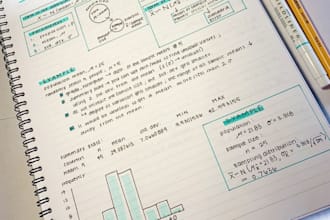 do professional economics and business research writing