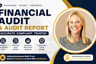 provide audit financial statement and professional audit report for you business