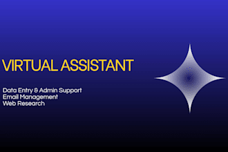 be your virtual assistant for data entry and email management