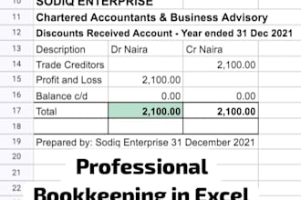professional excel bookkeeper and accountant