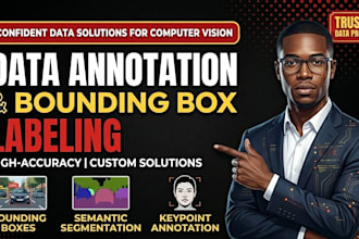 do custom data annotation and bounding box labeling for computer vision