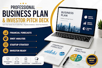 write a professional business plan and investor pitch deck