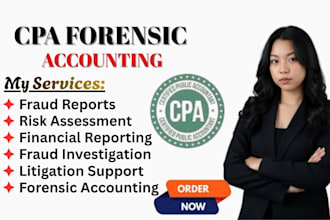 cpa forensic accounting, fraud detection, financial audit, financial discrepancy
