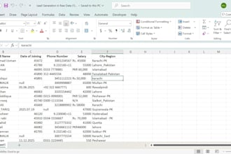 do data cleaning, data formatting, and excel power query automation
