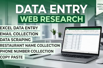excel data entry and data collection
