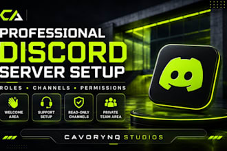 create a professional discord server setup