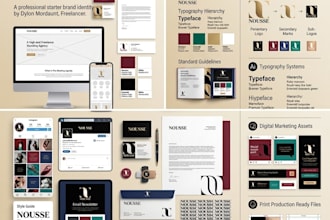 create a professional brand identity and visual system