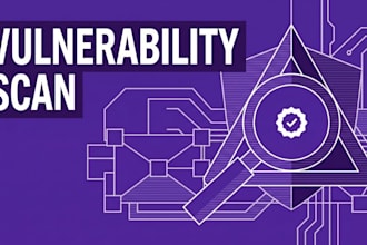 perform vulnerability assessment and security audit