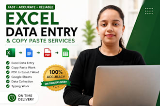 do excel data entry and copy paste tasks