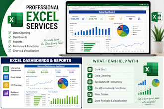 provide professional microsoft excel services