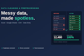 data cleaning, data preprocessing and excel data entry