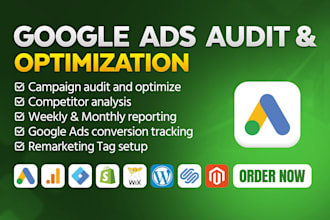 audit and optimize google ads campaign and conversion tracking for higher roas