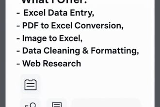 data entry expert for ms excel and google sheets