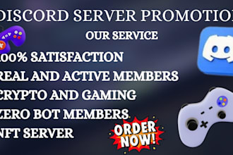 promote discord server, minecrat promotion, fivem advertising, rust, dayz,server