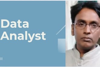 entry, excel data entry, and copy paste work