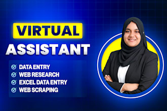 do data entry, web research, web scraping, excel data entry as virtual assistant