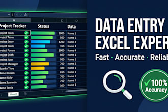 perform expert data entry, market research ,excel data cleaning