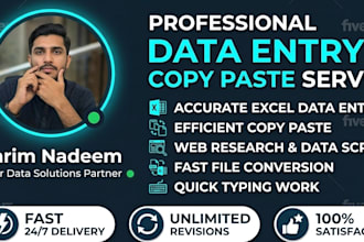 do professional data entry, copy paste and web research work