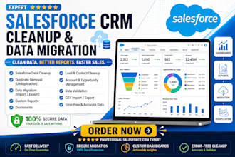 do salesforce CRM cleanup deduplication data migration dashboards custom reports