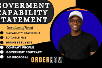 write and design goverment capability statement, business capability statement
