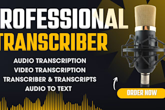 accurately transcribe audio to text and video transcription as a transcriber
