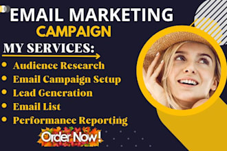 do niche targeted valid bulk email list and blast bulk email campaign marketing