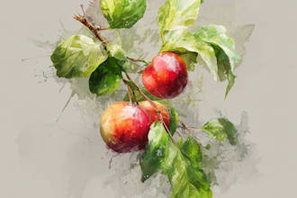 create food or anything in watercolor illustration style