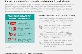 design fundraising and capital campaign materials