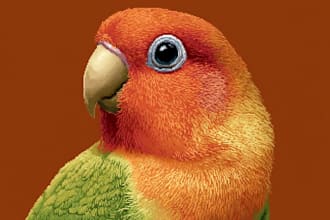 create a cute pixel art portrait of your pet