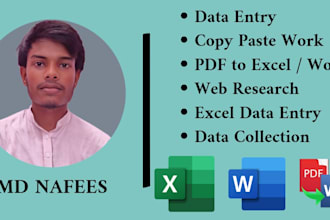 do professional data entry, web research and copy paste