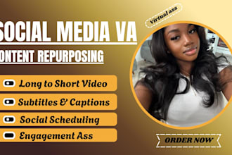 social media virtual assistant instagram manager content scheduler pinterest VA