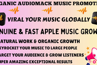 do fast organic audiomack music promotion for real engagement using email ads