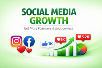 manage and grow your social media accounts professionally