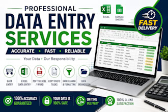 do accurate data entry, excel data entry, copy paste and web research