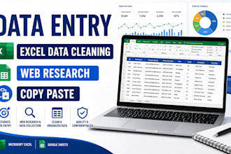 do excel data cleaning, quality analysis and data validation